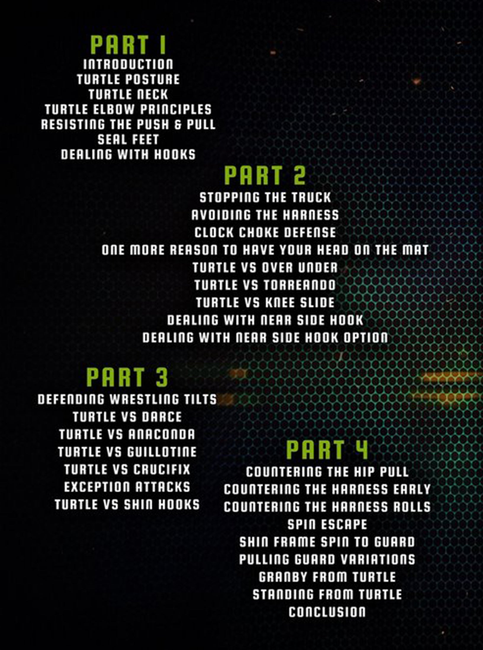 Protecting & Generating Dynamic Offense From The Turtle by Priit Mihkelson image 2