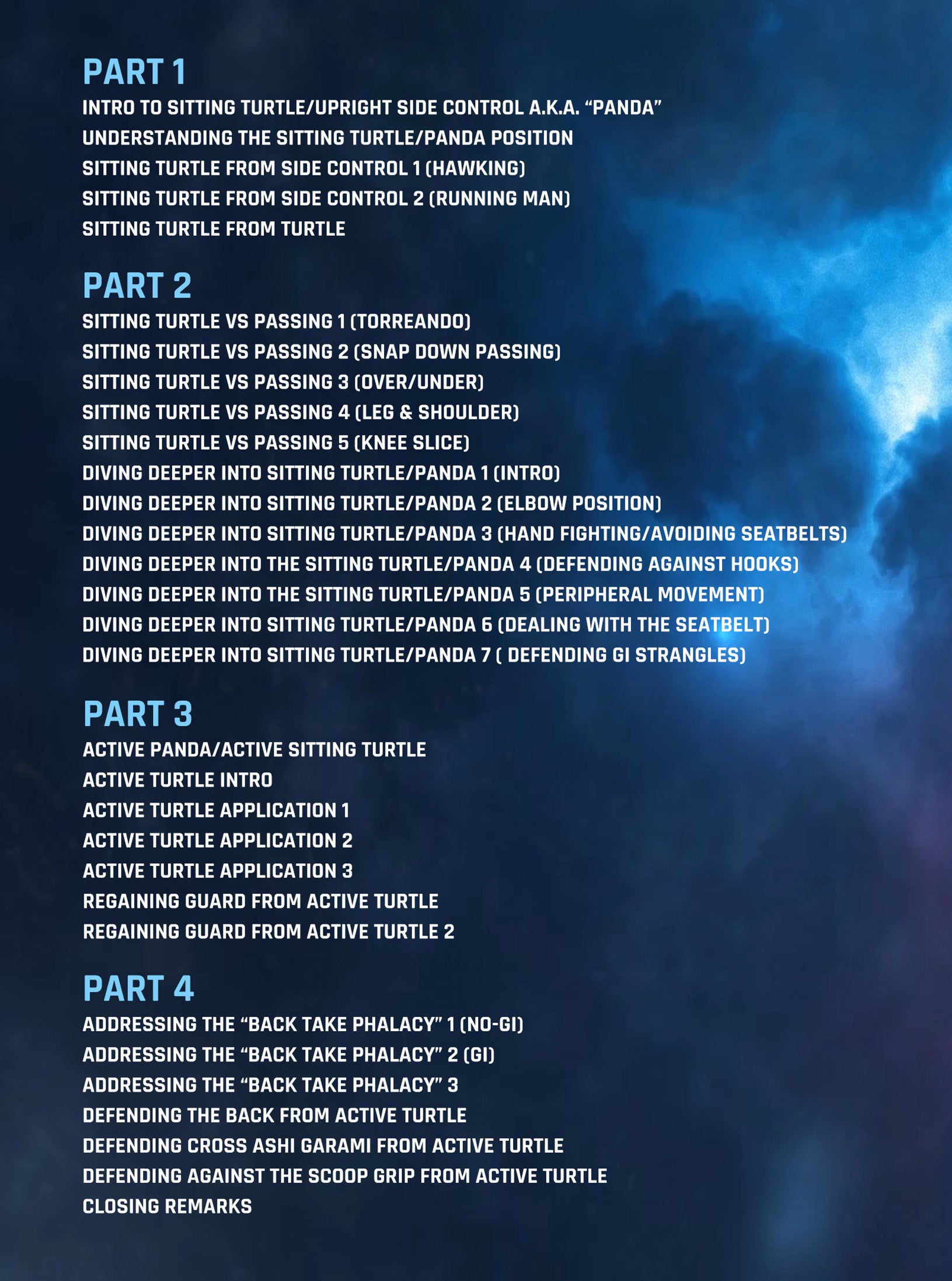 The Sitting Turtle by Priit Mihkelson image 2