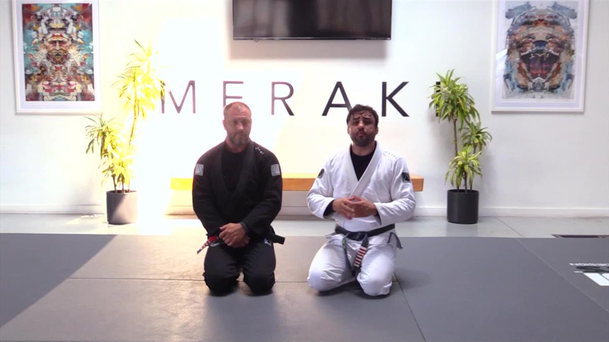 High Performance Passing System by Ramon Lemos image 3