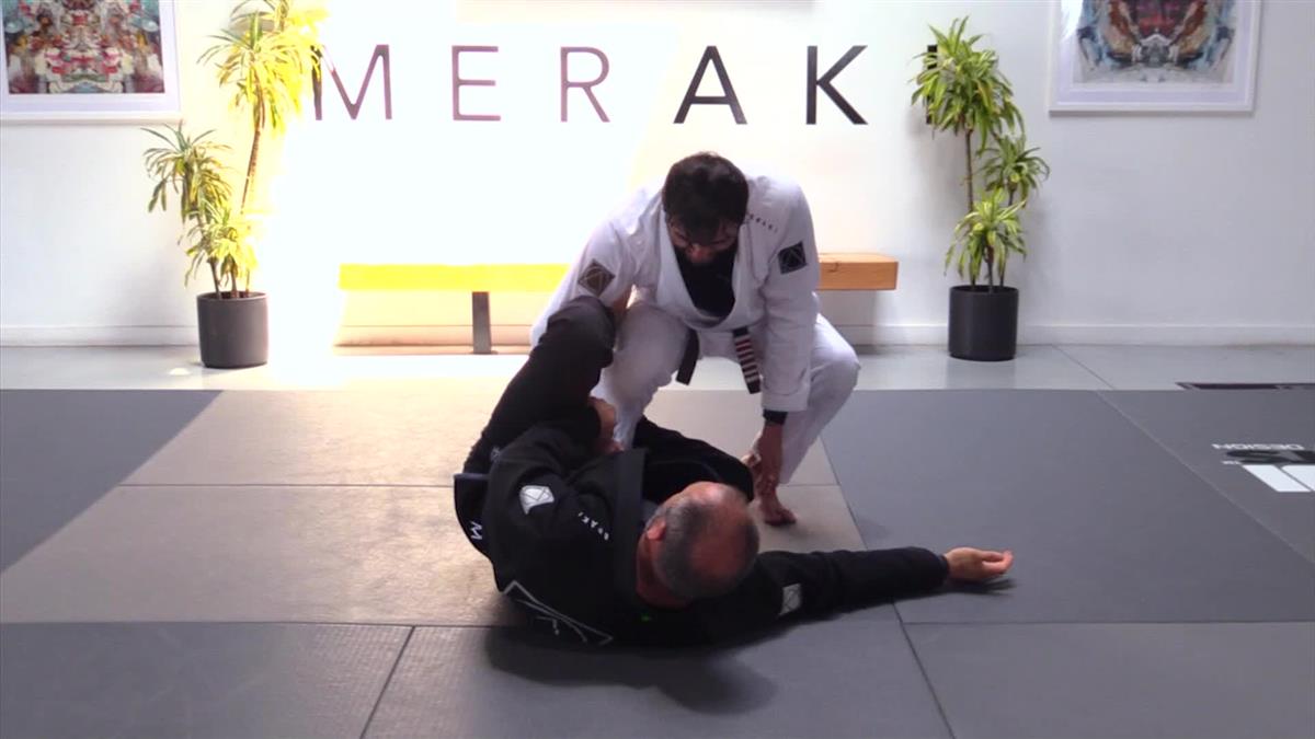 High Performance Passing System by Ramon Lemos image 6