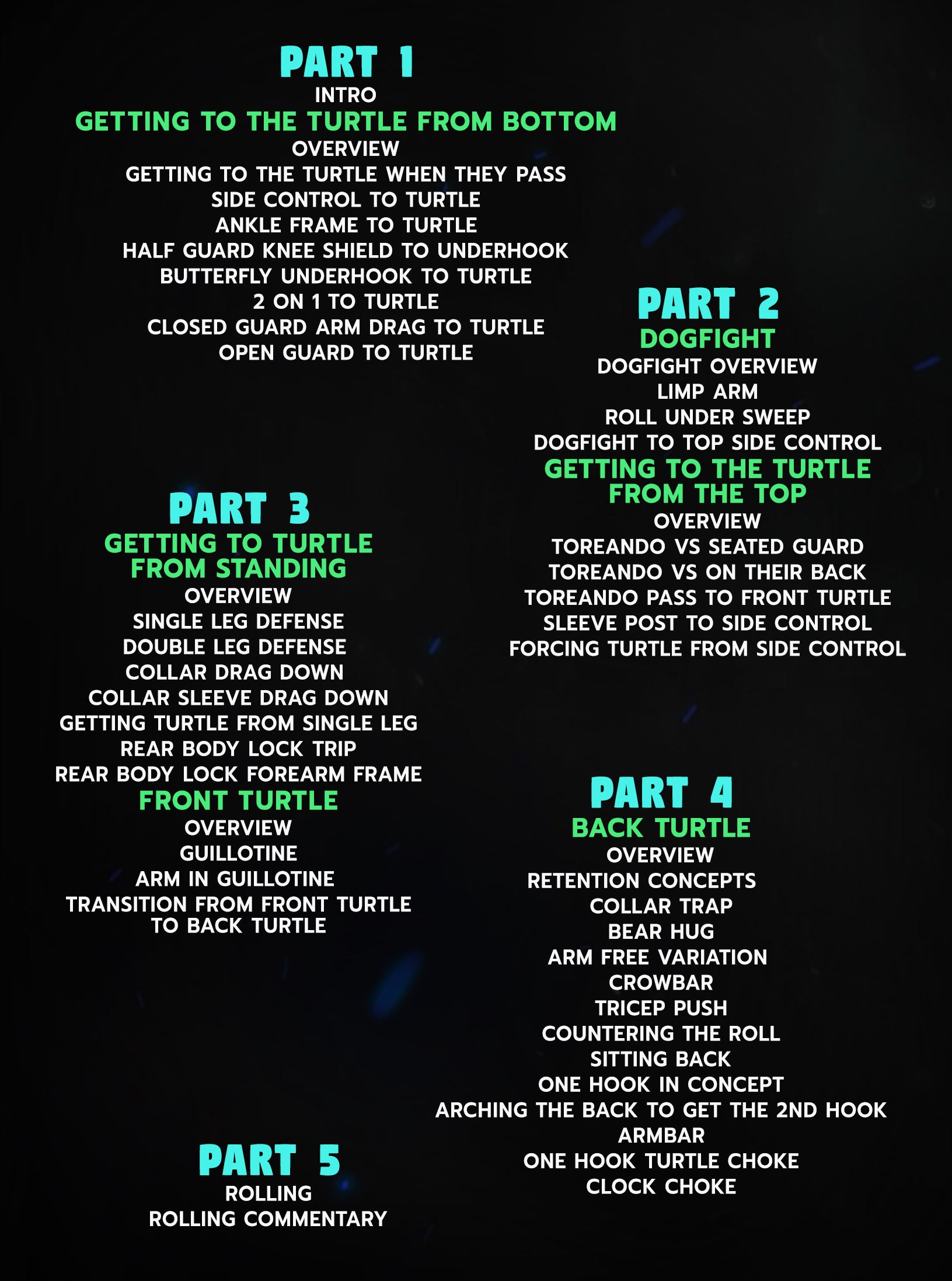 Gracie Fundamentals: Turtle Mastery by Rayron Gracie image 2