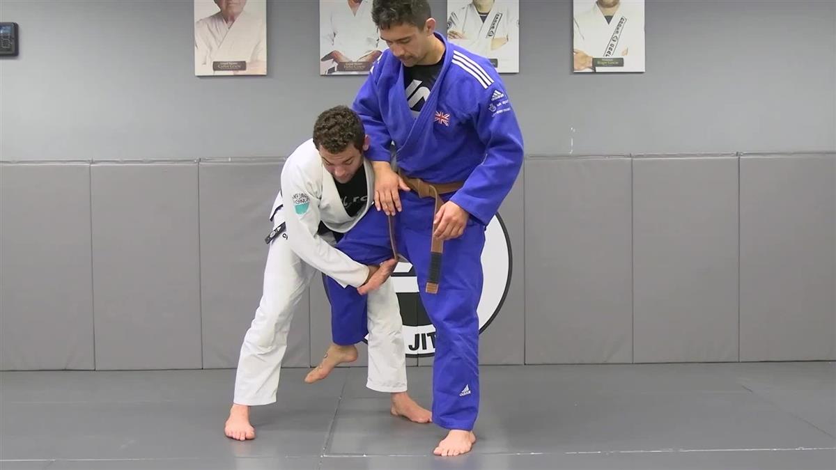 Gracie Fundamentals: Turtle Mastery by Rayron Gracie image 4
