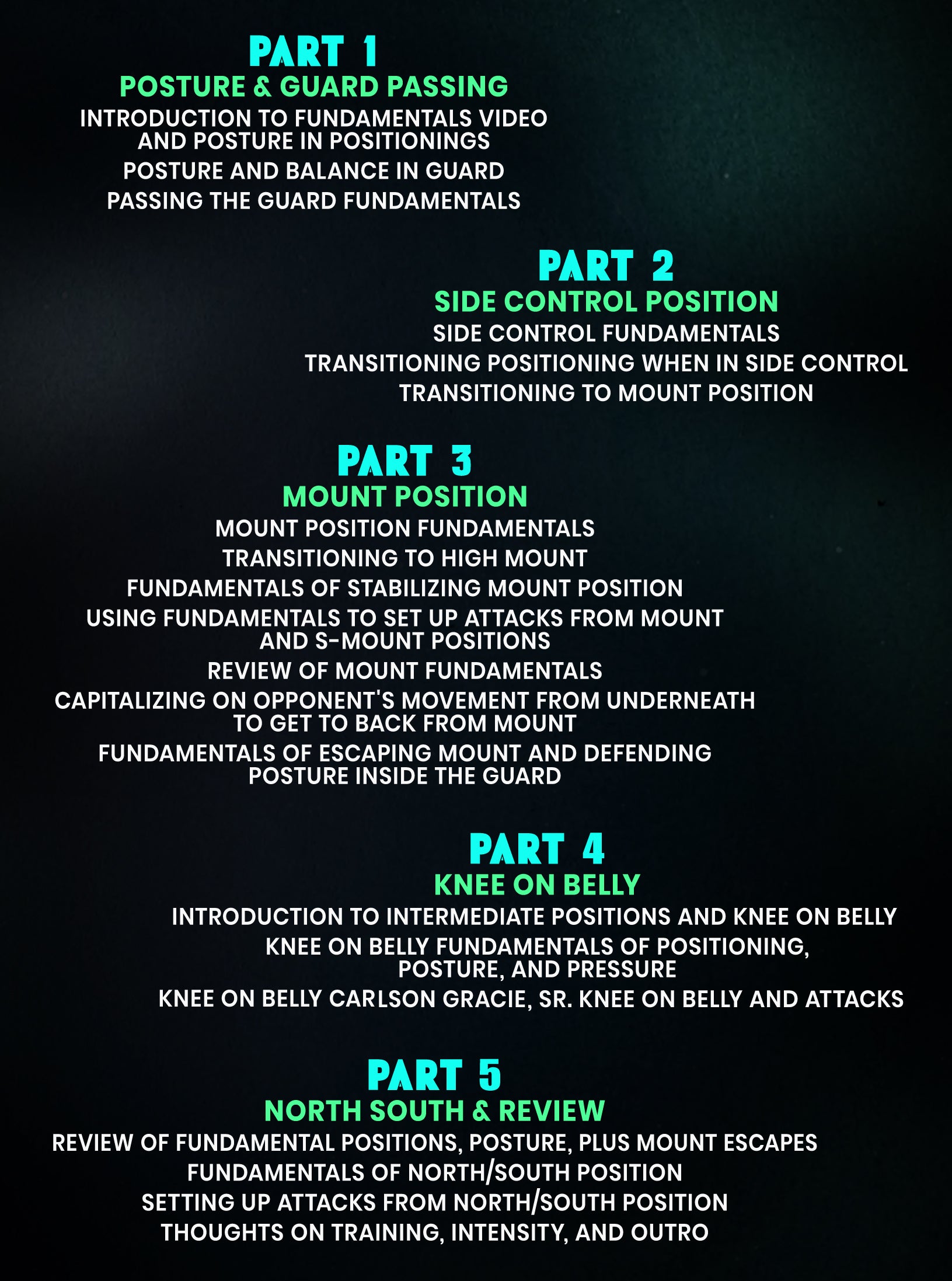 Old School BJJ Fundamentals by Ricardo Cavalcanti image 2