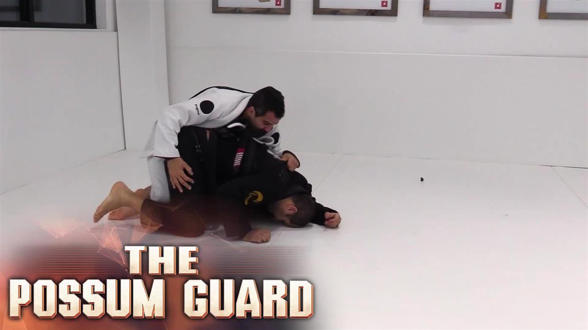 The Possum Guard by Ricardo Vieira image 3