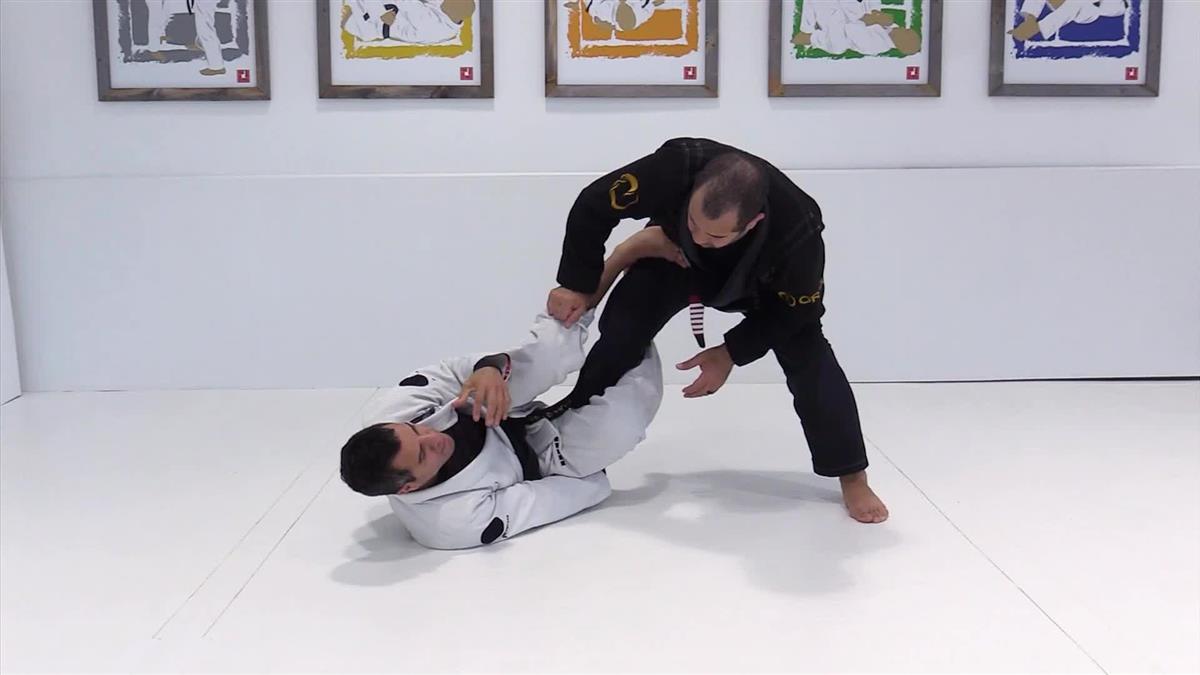 The Possum Guard by Ricardo Vieira image 4