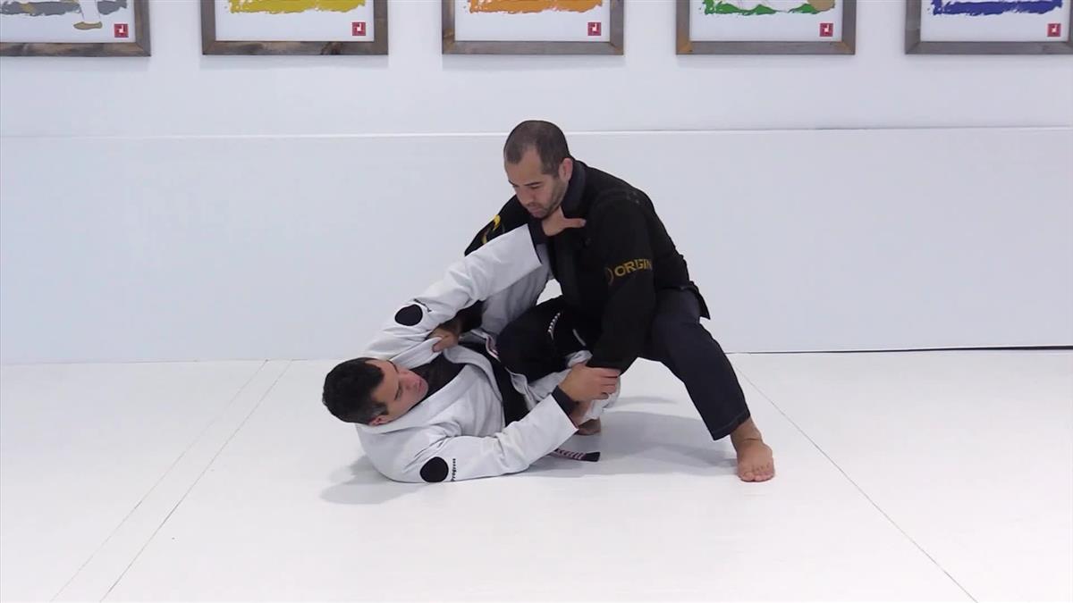 The Possum Guard by Ricardo Vieira image 5