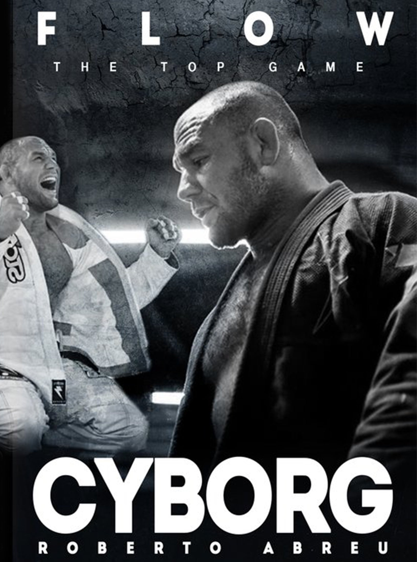 Flow: The Top Game by Roberto "Cyborg" Abreu image 1