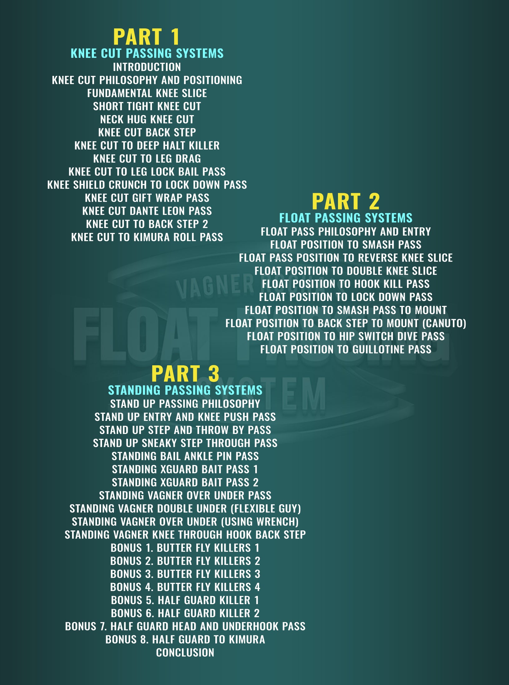 Float Passing System by Vagner Rocha BJJ image 2