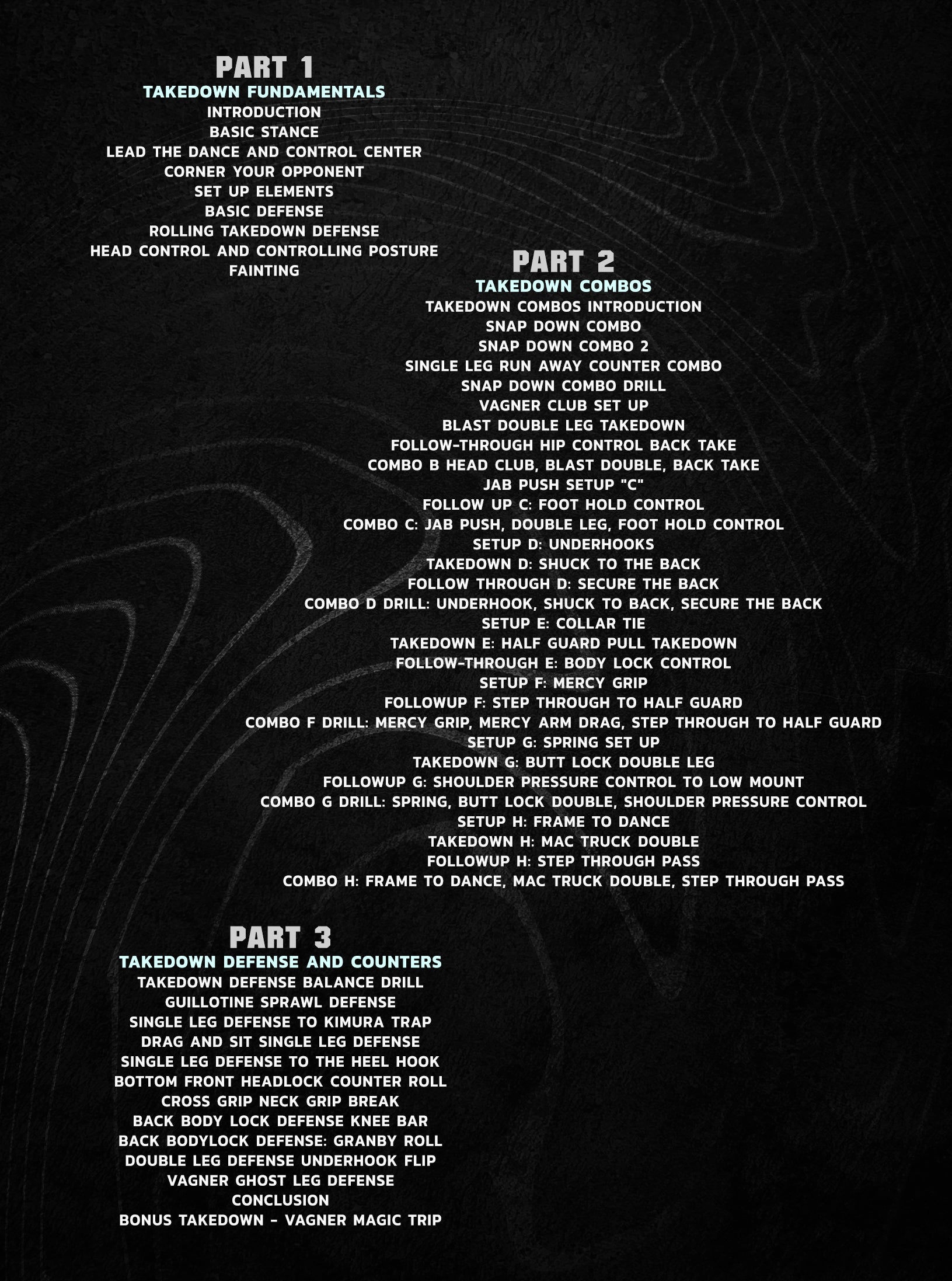 Savage Grappling Takedown Combinations by Vagner Rocha image 2