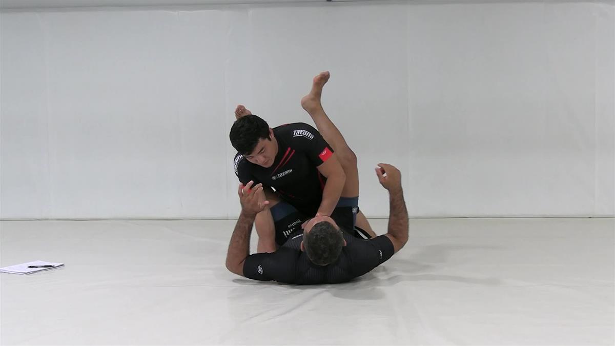 Hybrid Jiu Jitsu MMA Inspired Techniques by Vagner Rocha image 2