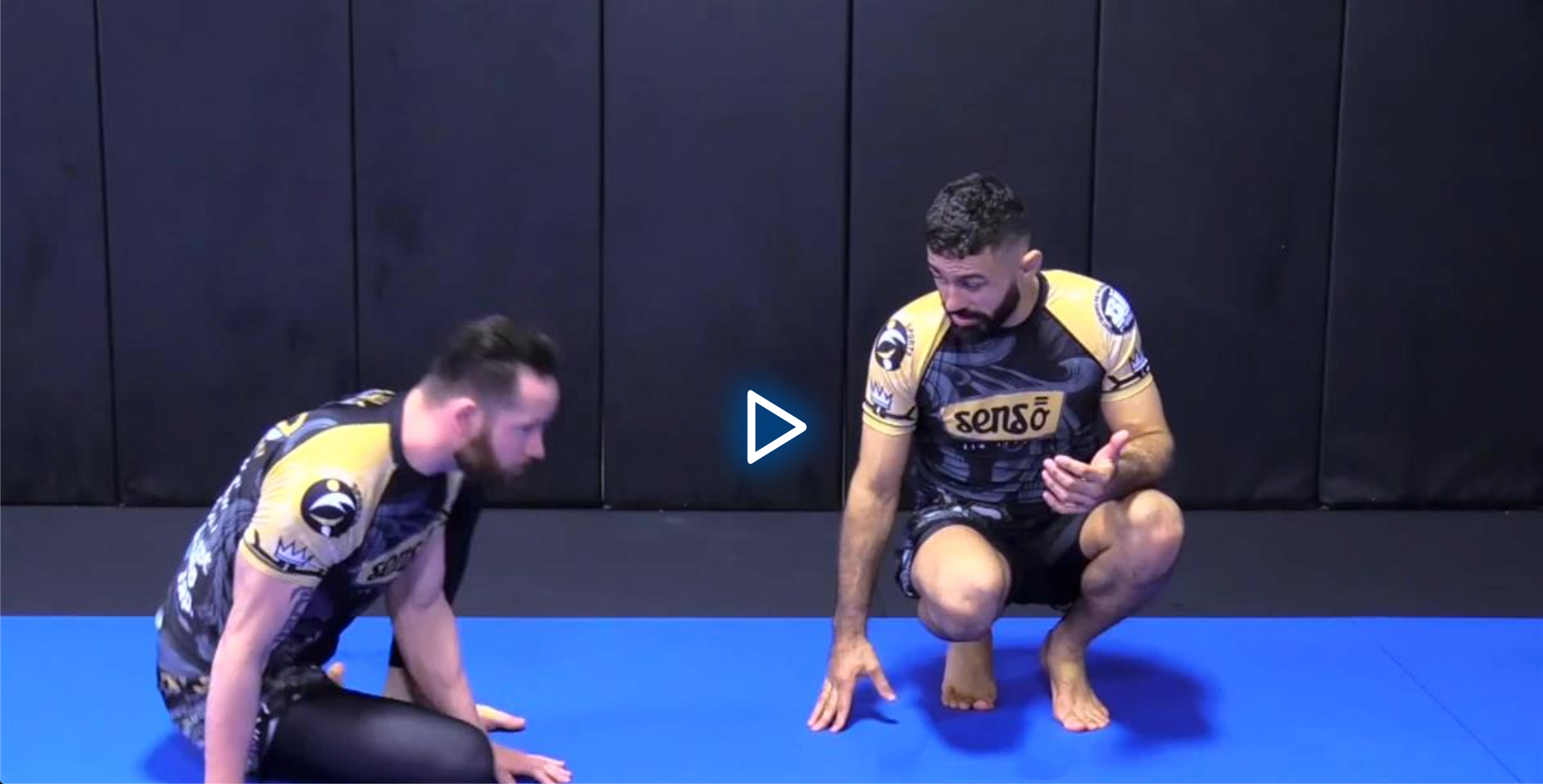 Float Passing System by Vagner Rocha BJJ image 5