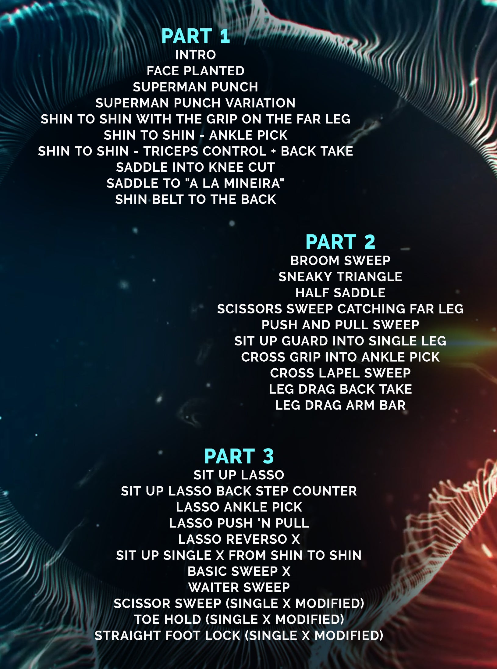 The Cavalcanti Open Guard by Vicente Cavalcanti image 2