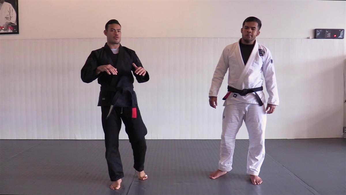 Lasso From Everywhere by Vinicius Lino image 5