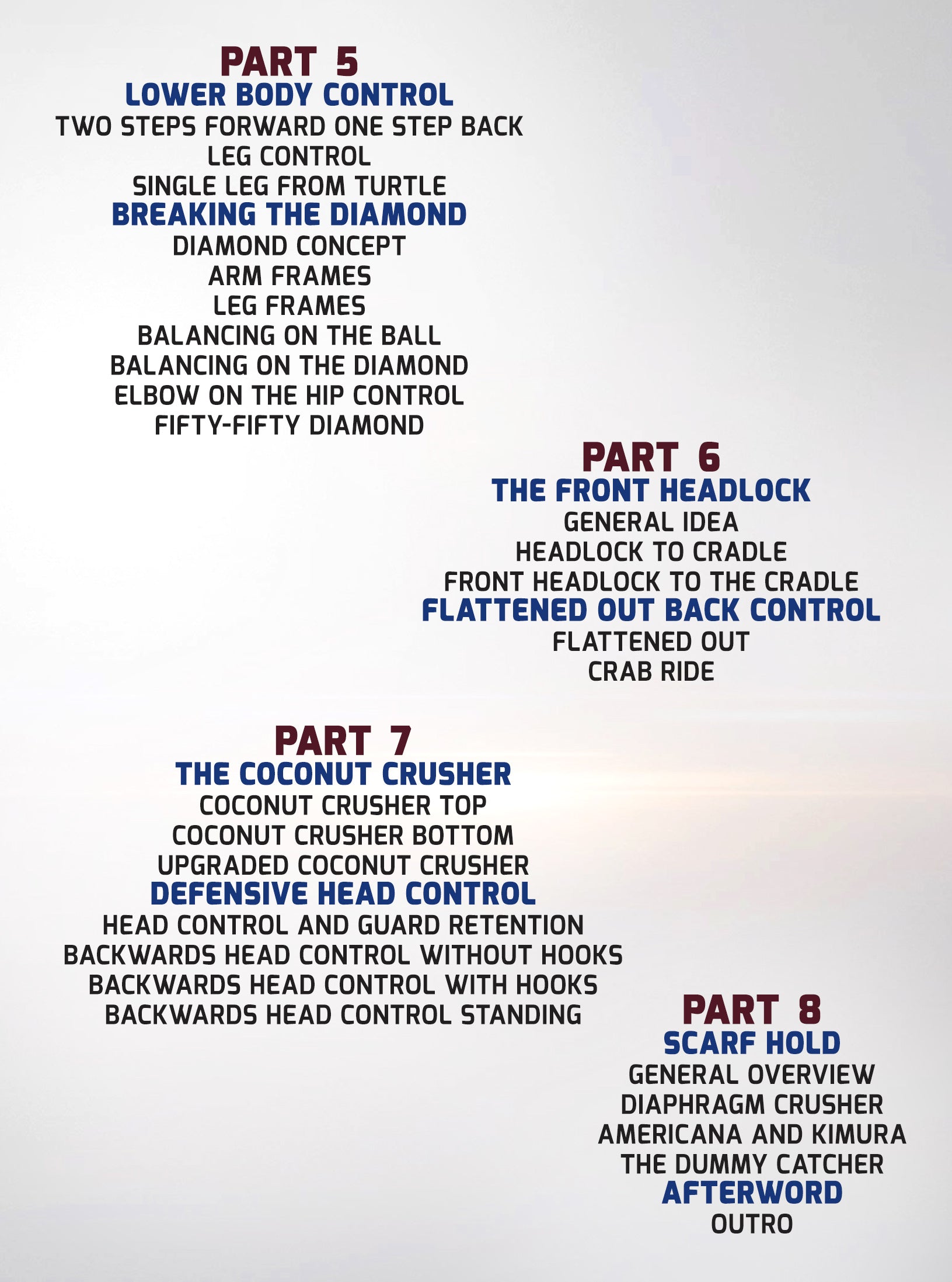 The Mirroring Principle: Head Control Based Offense and Defense by Wim Deputter image 4