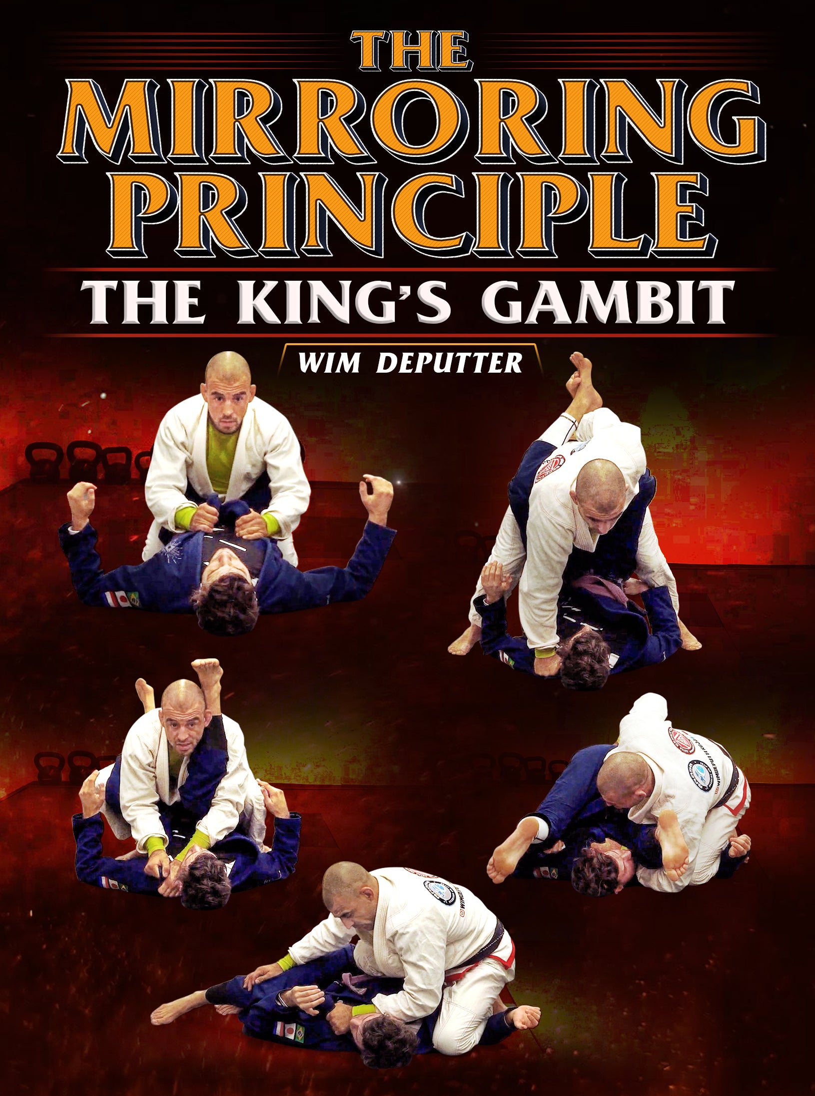 The Mirroring Principle: The Kings Gambit by Wim Deputter image 1