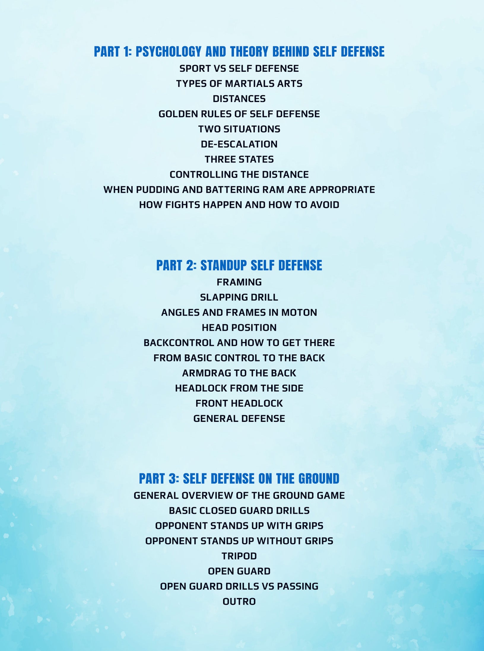 The Mirroring Principle: Fundamental Self Defense by Wim Deputter image 2