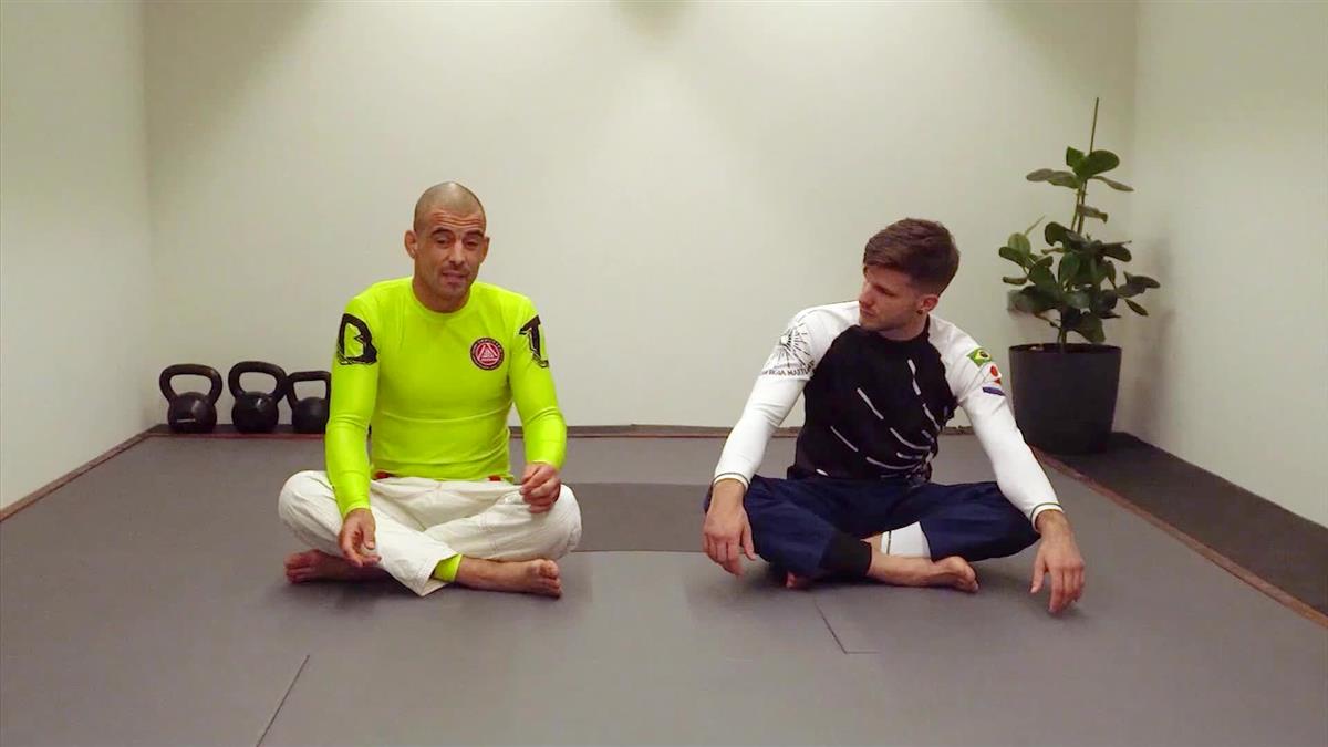 The Mirroring Principle: The Kings Gambit by Wim Deputter image 5