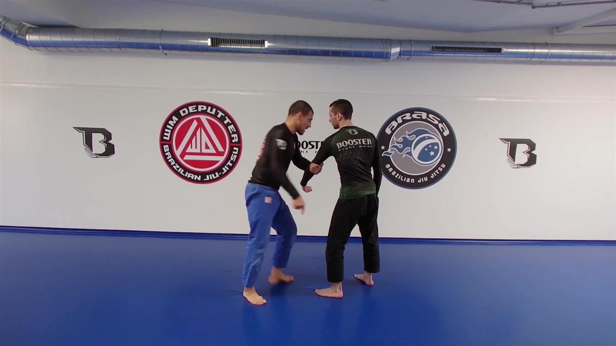 The Mirroring Principle: Fundamental Self Defense by Wim Deputter image 3