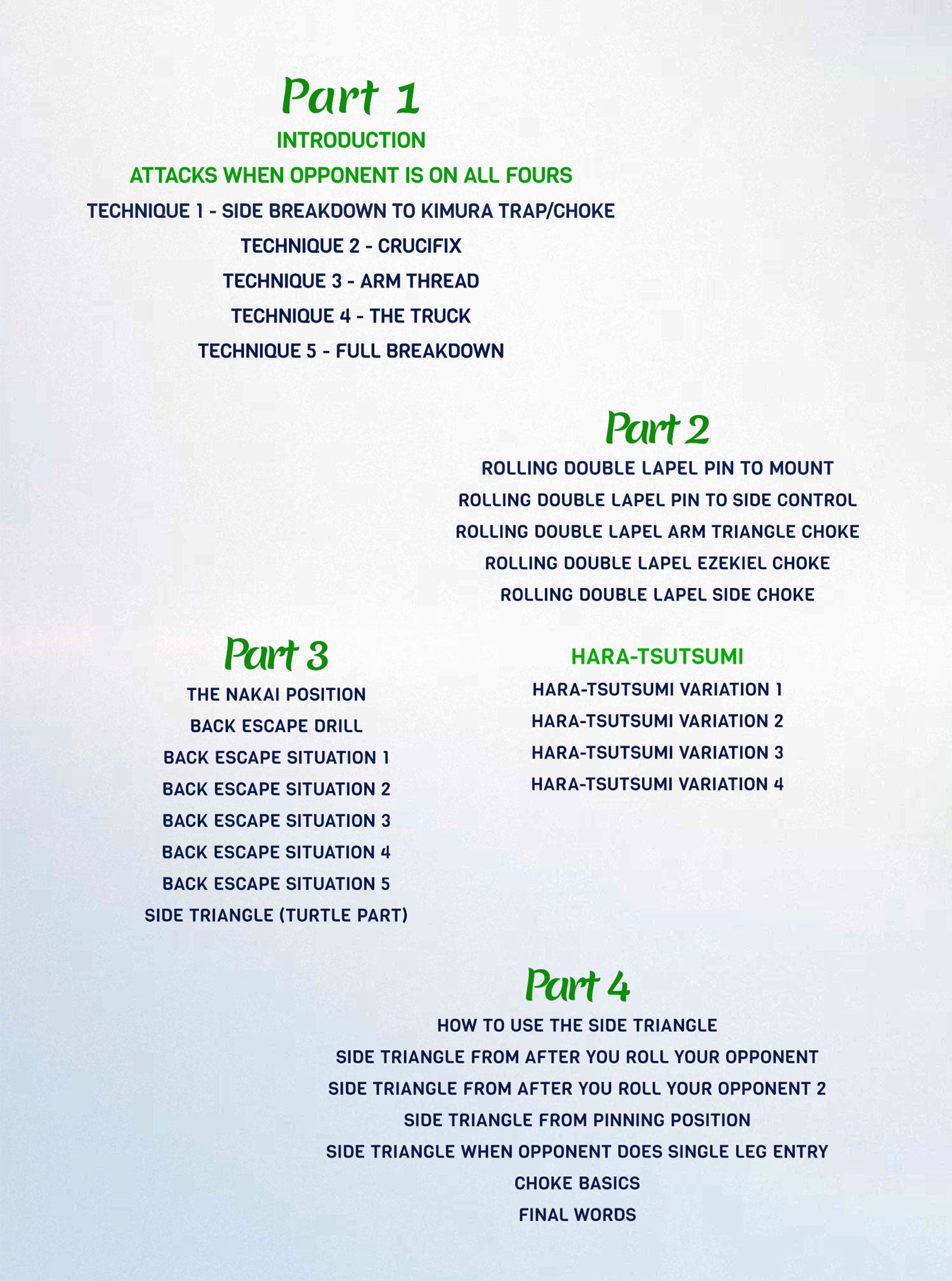 Side Back Control by Yuki Nakai image 2