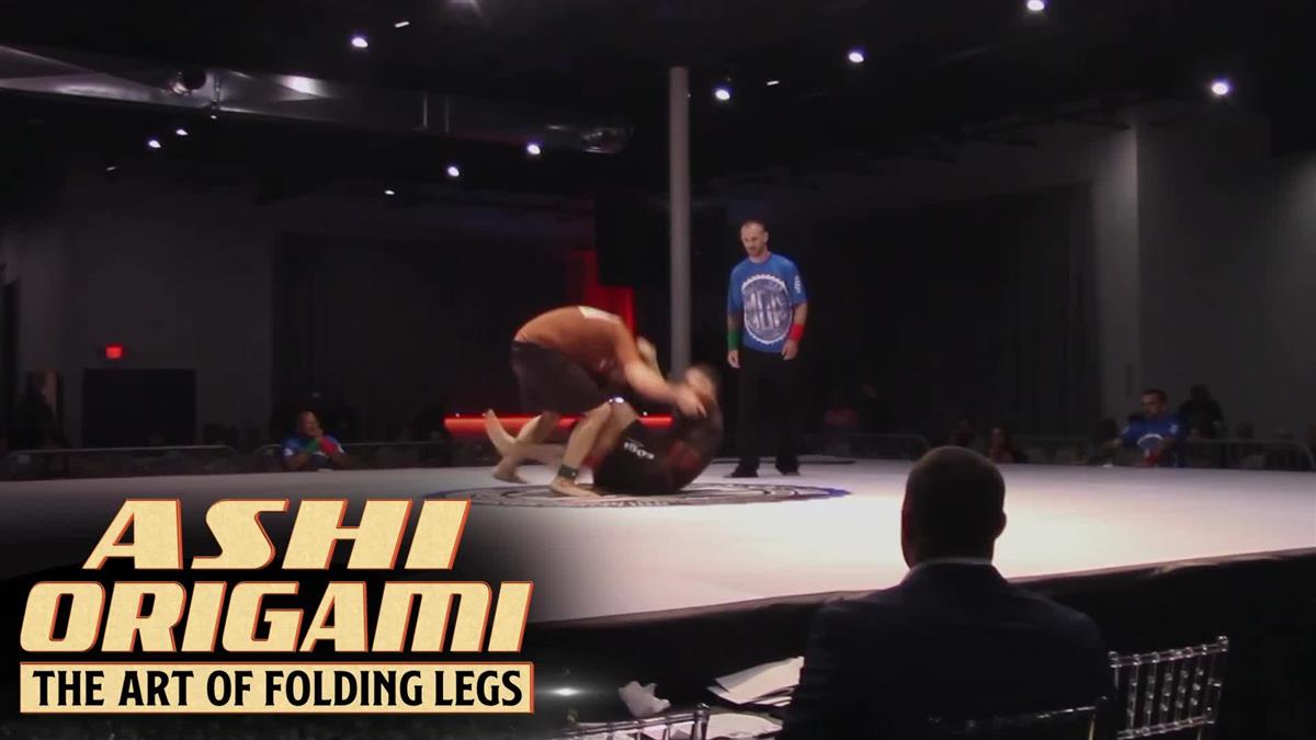 Ashi Origami: The Art of Folding Legs by Zach Green image 3