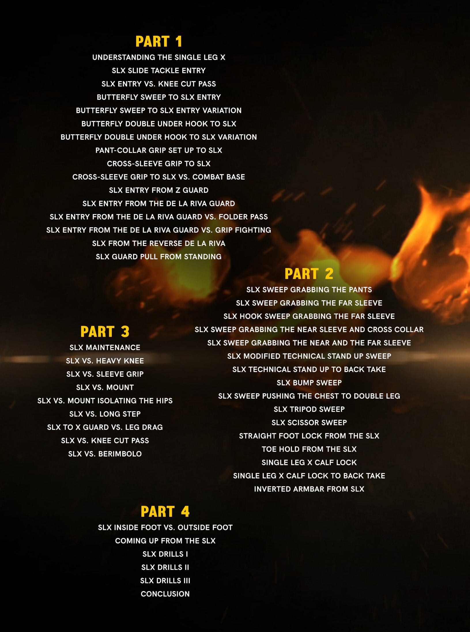 Single Leg X Beyond The Basics by Thomas Lisboa image 2