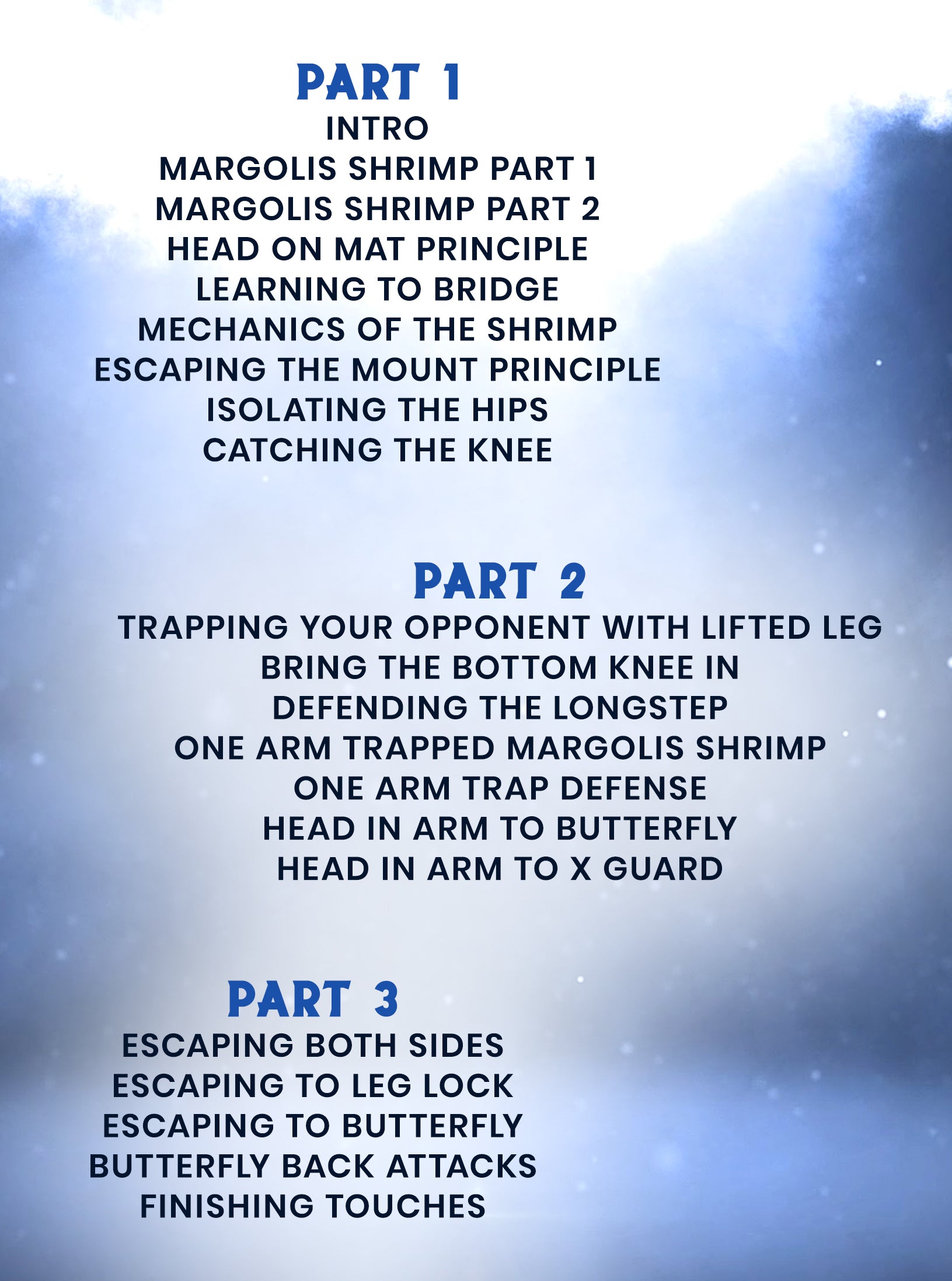 The Fundamental Shrimp System by Todd Margolis image 2