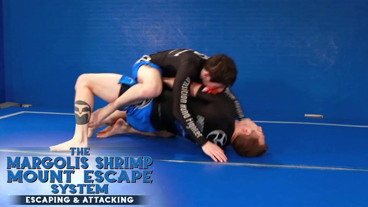 The Fundamental Shrimp System by Todd Margolis image 3