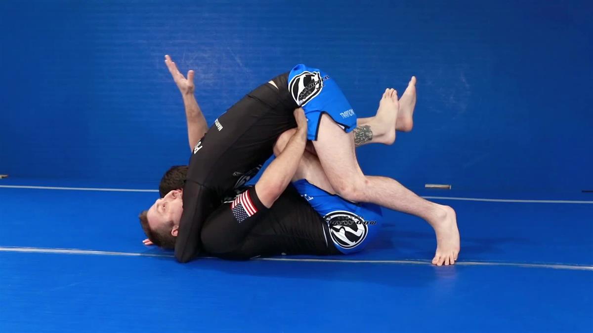 The Fundamental Shrimp System by Todd Margolis image 4