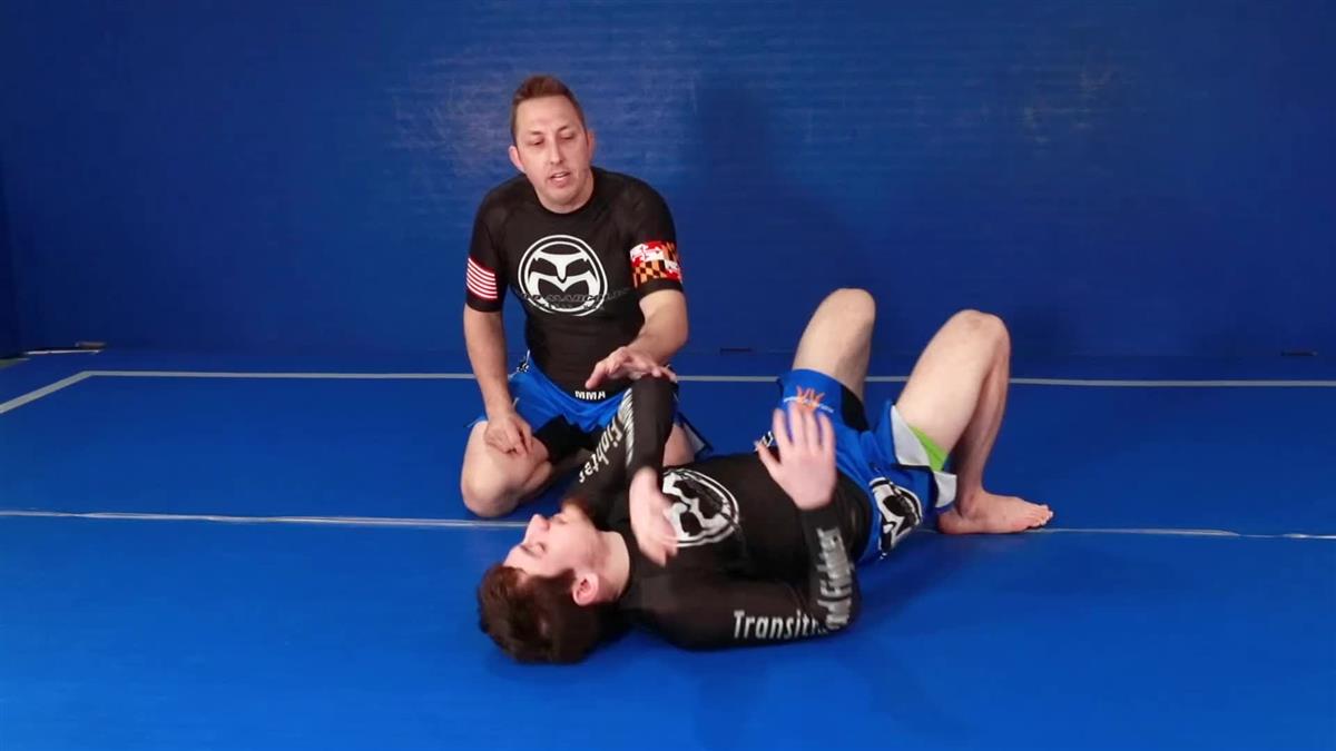 The Fundamental Shrimp System by Todd Margolis image 5