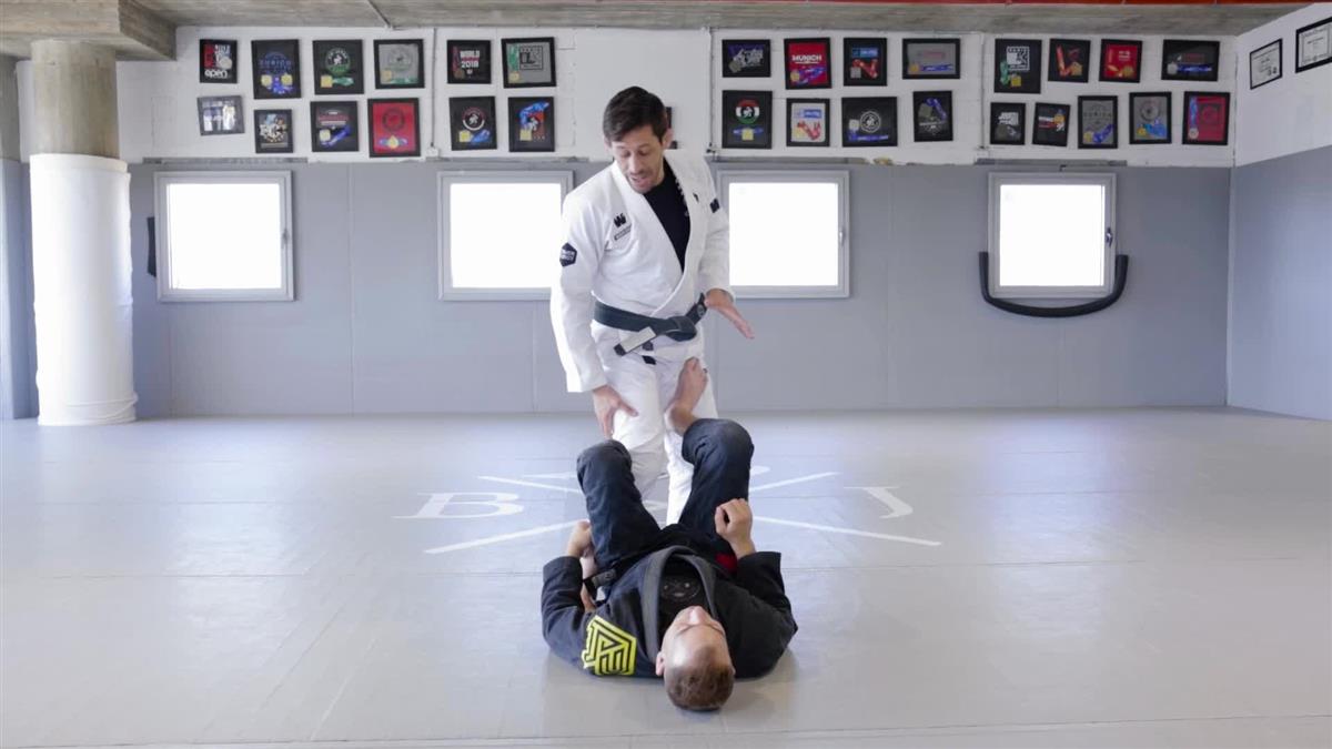 Guard Passing Masterclass by Tomer Alroy image 3