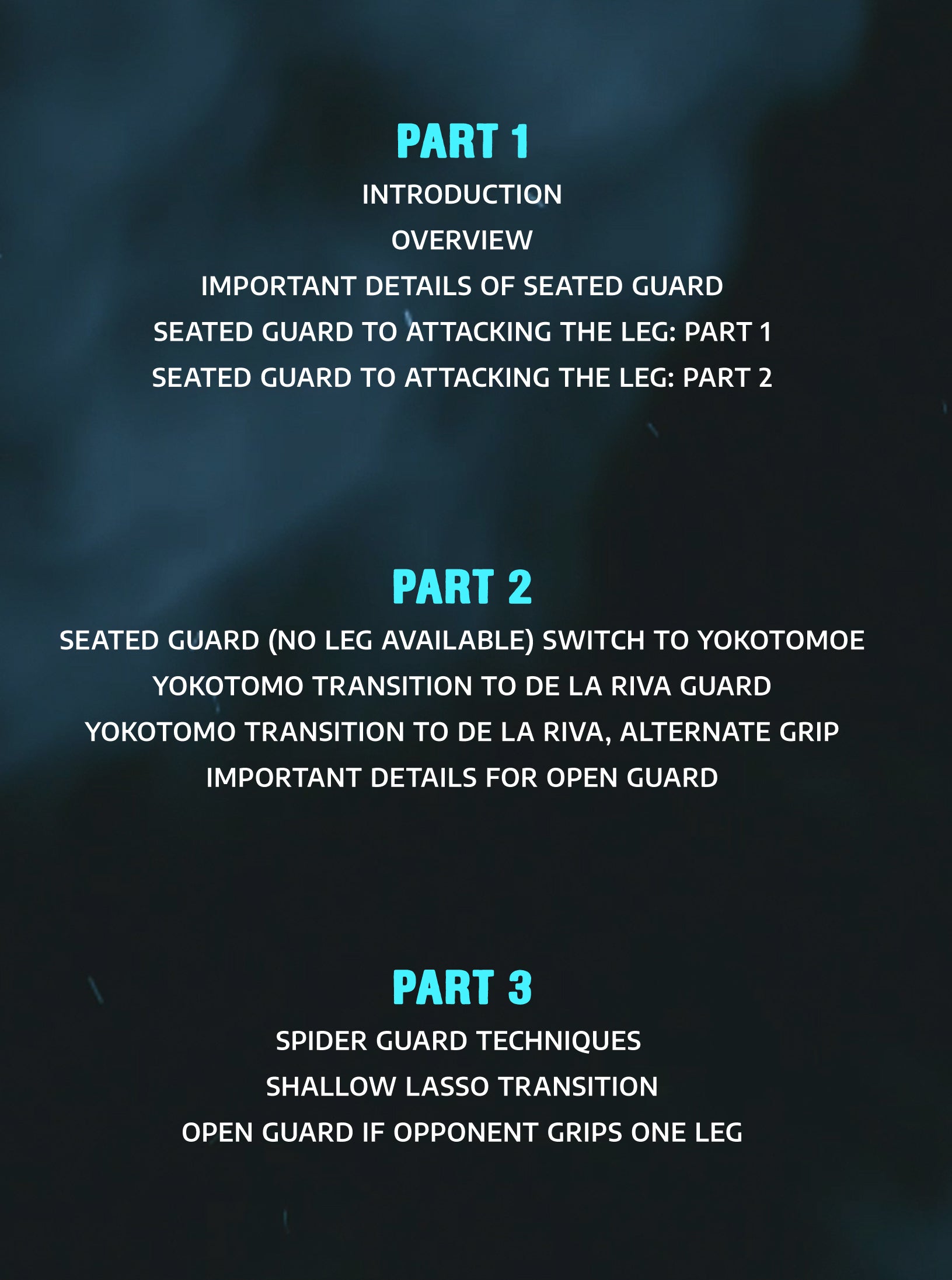 Effective Open Guard by Tomoyuki Hashimoto image 2