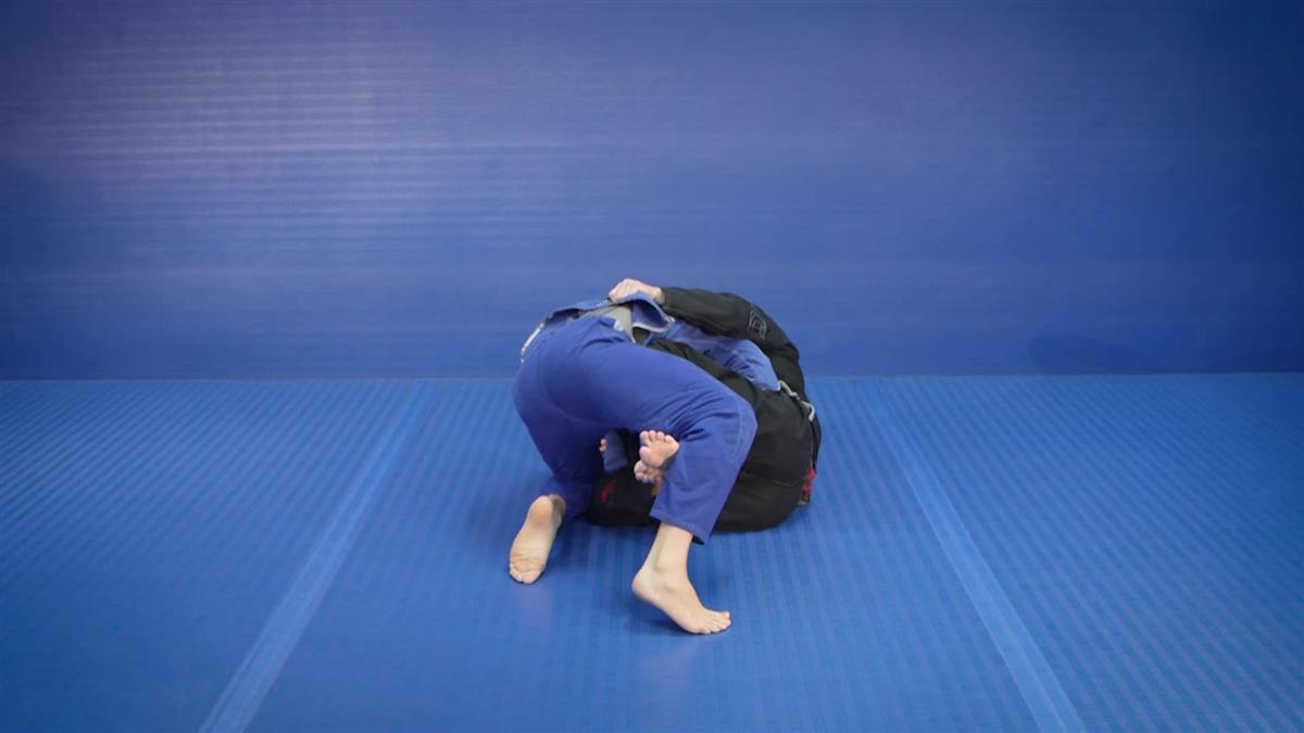 The Road To Blue Belt by Travis Lutter image 3