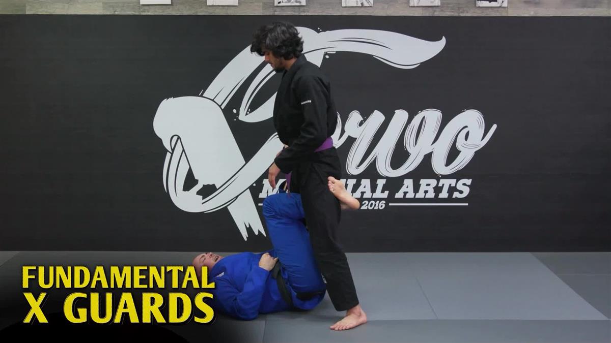 Fundamental X Guards by Tony Trammell image 3