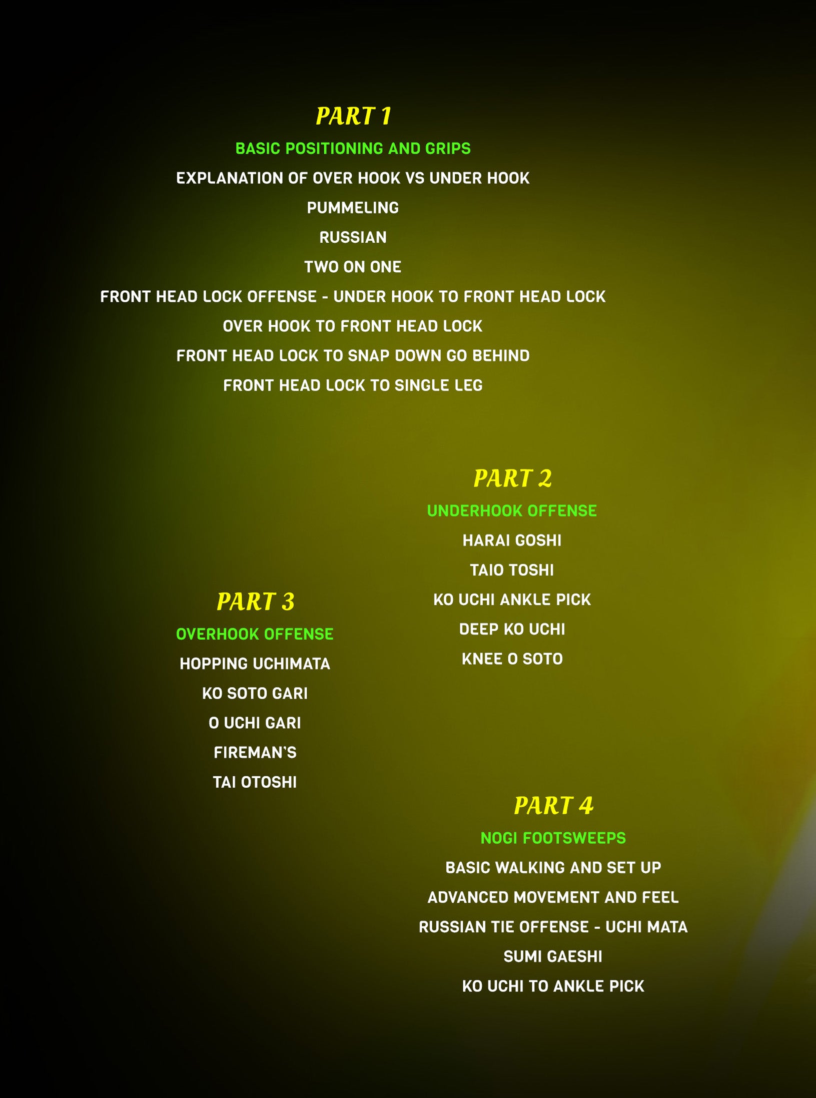 Mastering No Gi Takedowns by Travis Stevens image 2