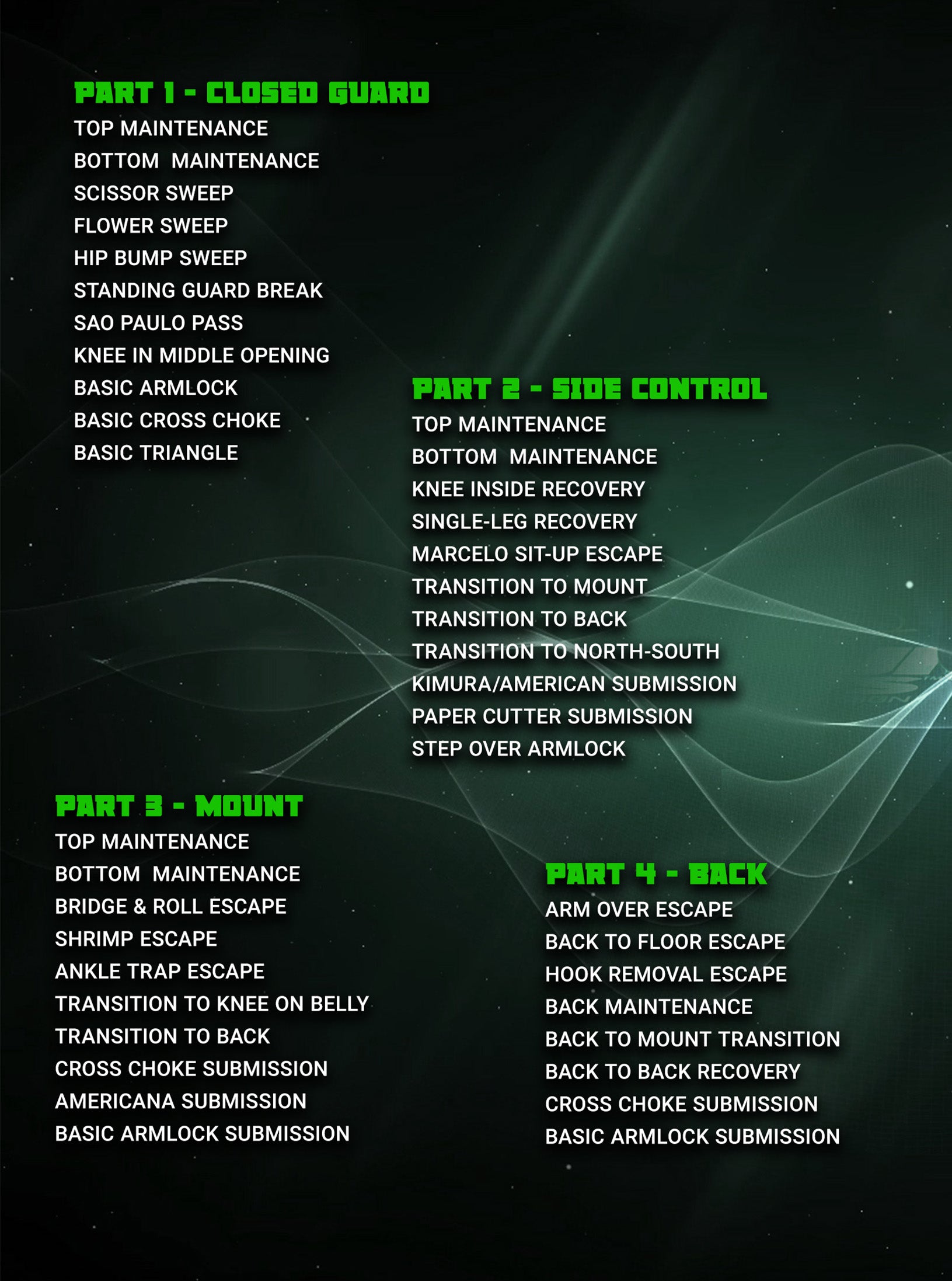 BJJ Basics by Travis Stevens image 2