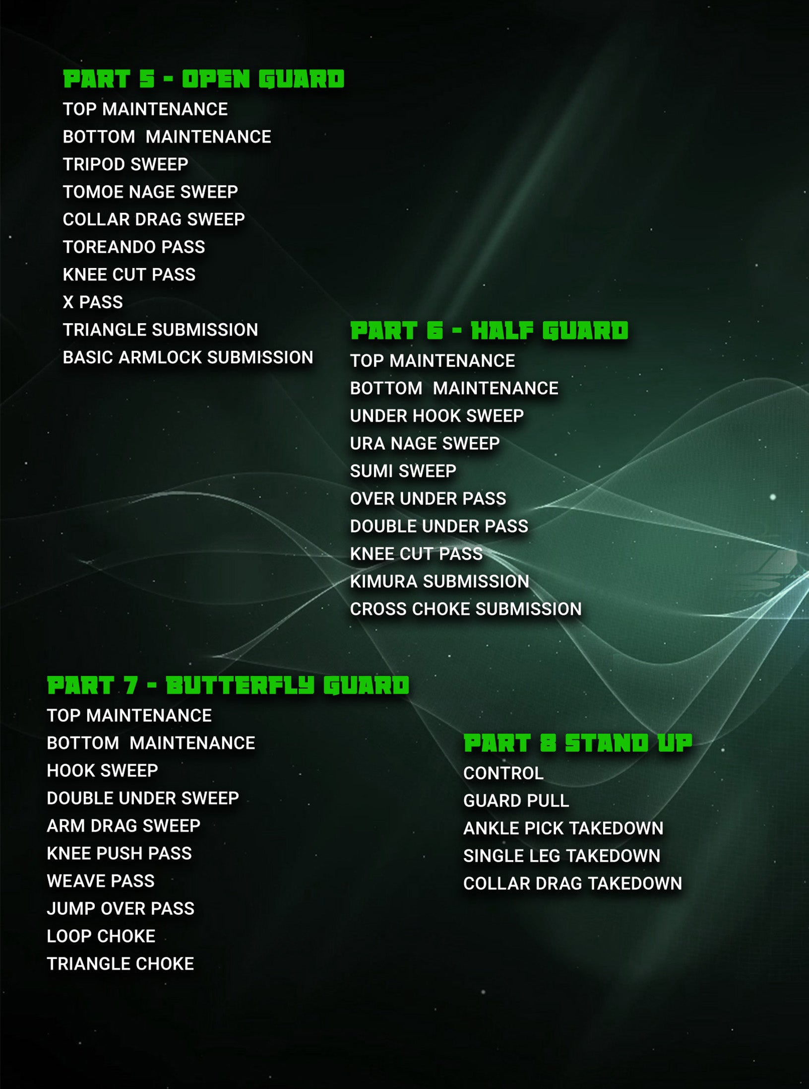 BJJ Basics by Travis Stevens image 3