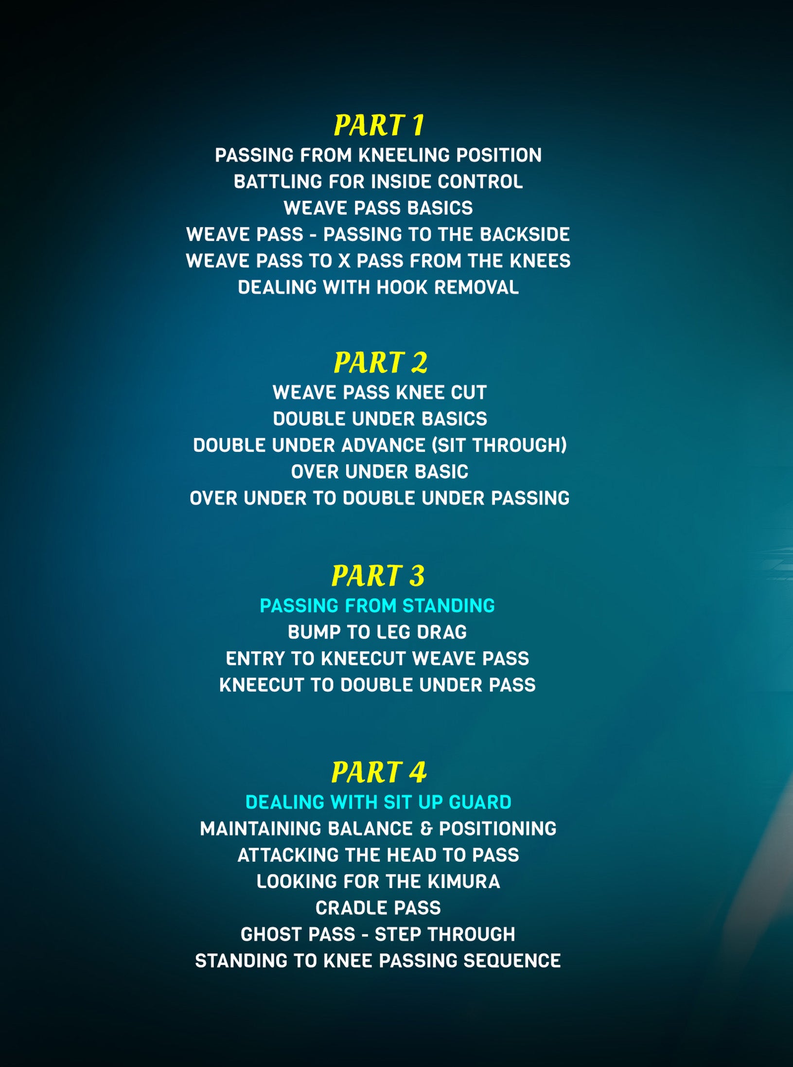 Mastering No Gi Passing by Travis Stevens image 2