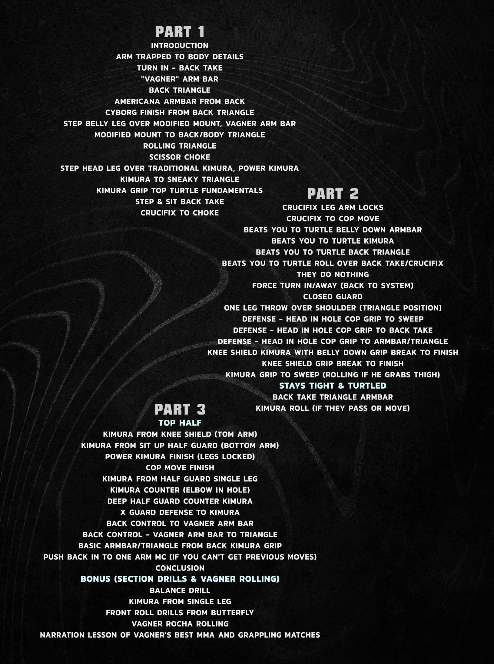 The 50-50 of The Arms The Rocha Kimura System by Vagner Rocha BJJ image 2