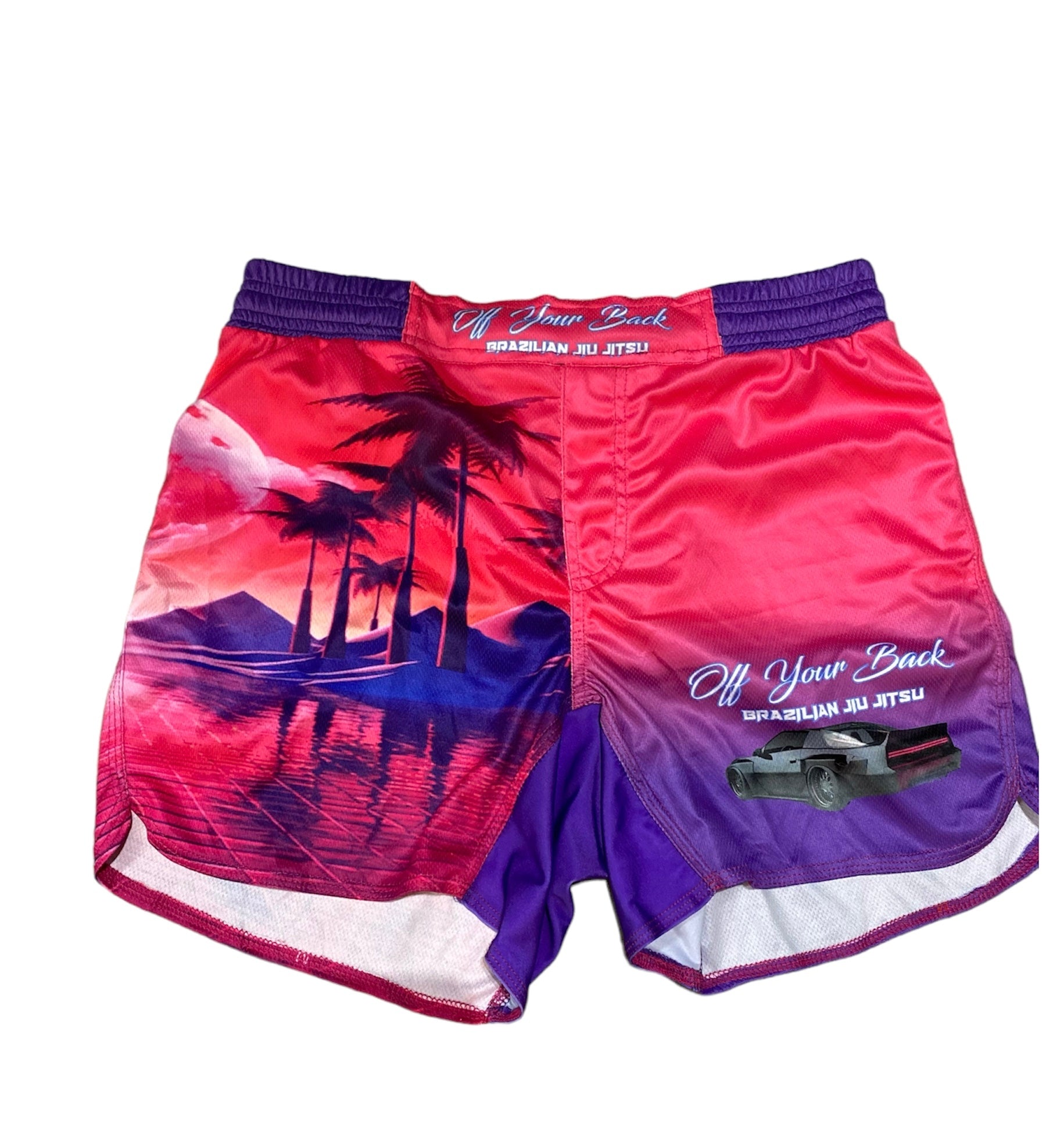 Summer 24 Vaporwave Shorts