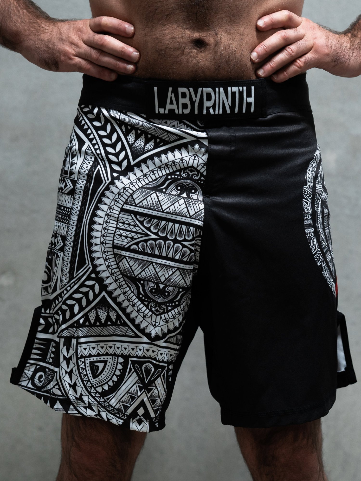 Pacific Board Shorts — LABYRINTH Co.