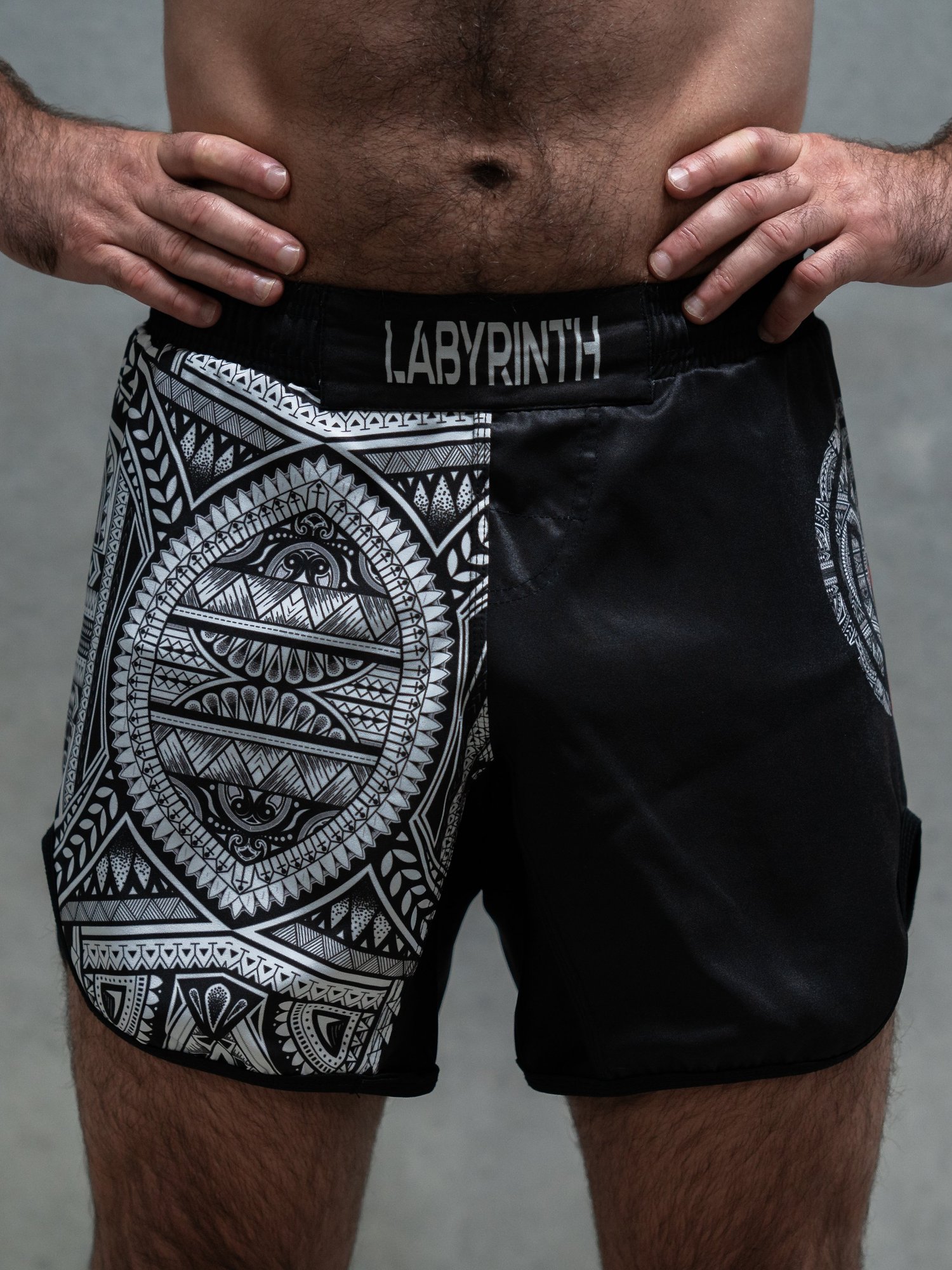 Pacific Hybrid Shorts — LABYRINTH Co.