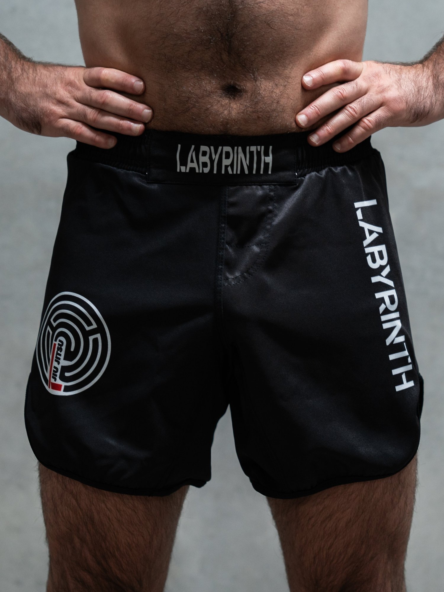 Fundamental Hybrid Shorts — LABYRINTH Co.