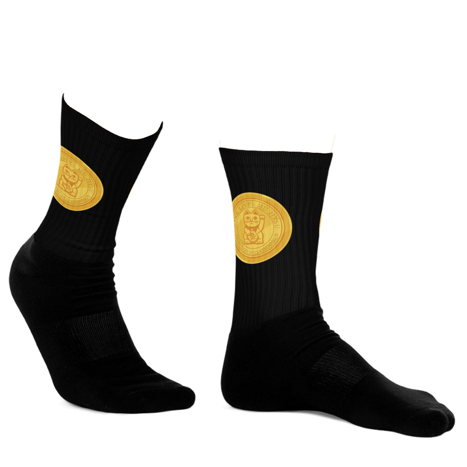Gold Coin Money Cat Socks