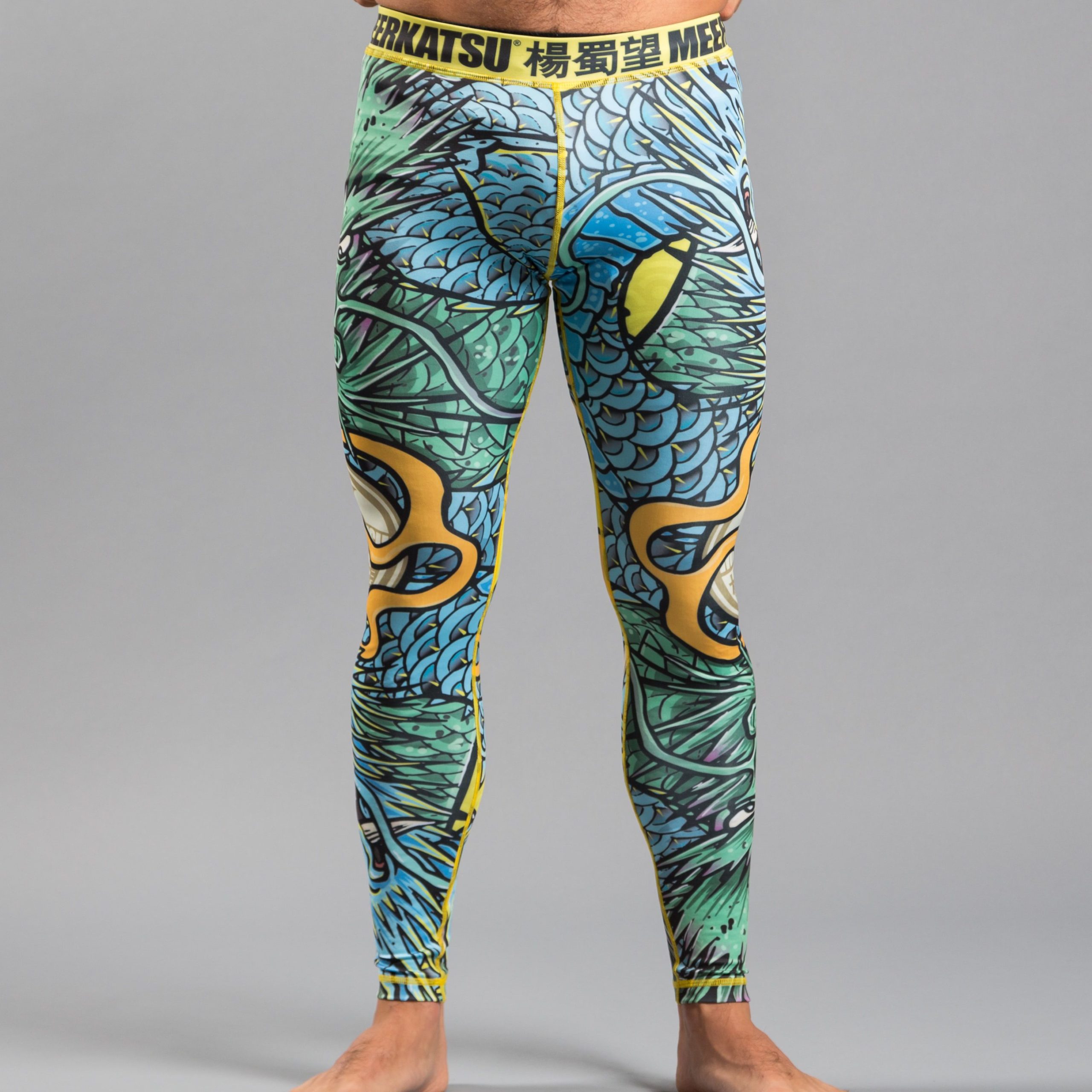 Colliding Dragons Grappling Tights