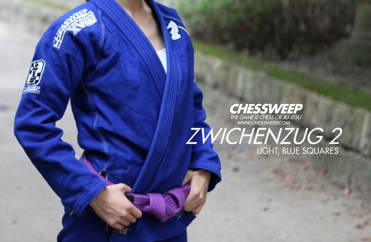 CHESSWEEP ZWICHENZUG -2 BS