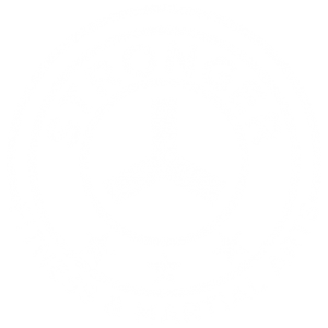 Stronger BJJ logo
