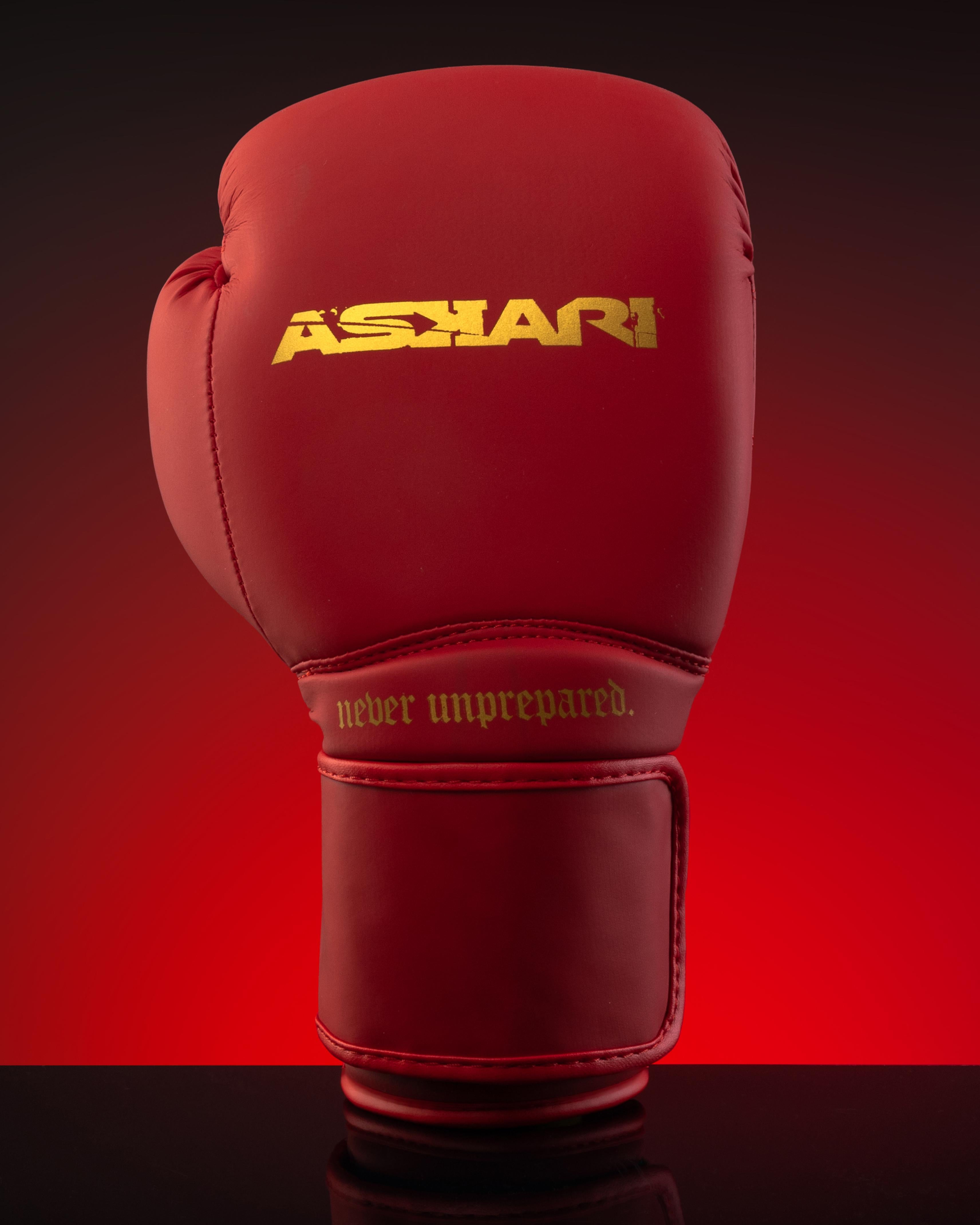 "NOVA" BOXING GLOVES