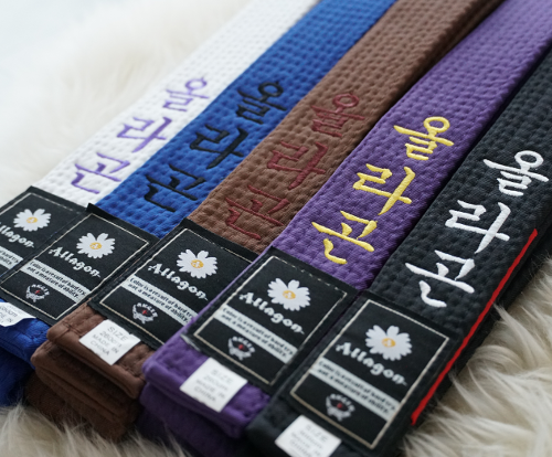 올라곤 주짓수 벨트