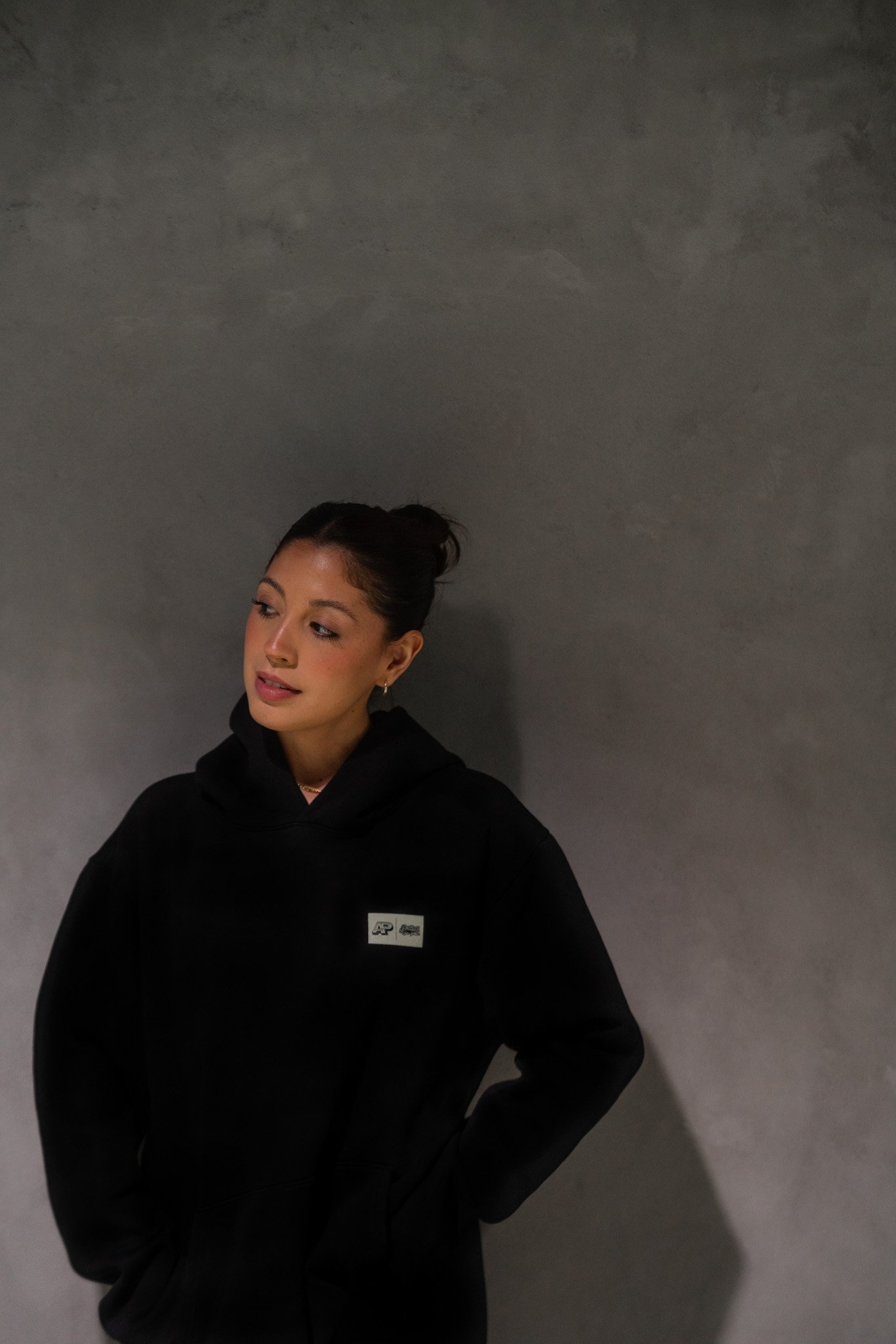 APxArtista Hoodie — Artista Brazilian Jiu-Jitsu