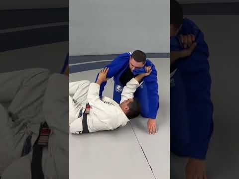 Lapel choke Jungle Book of Jiu-Jitsu 💯🐙🦗🐠🦟🐸🪳🐢🦇🦉🐒🐜🐟🦂🪿 #apprendrelejujitsu